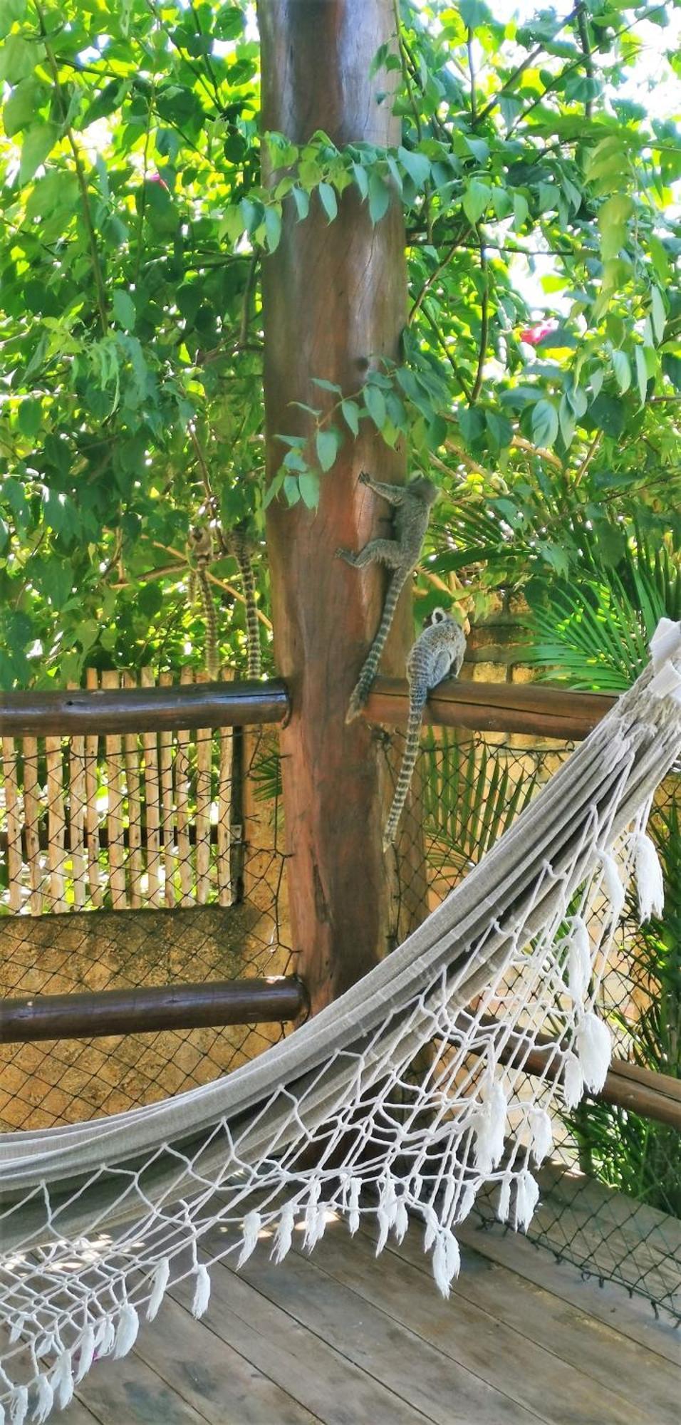 Vila Emanuelle Pousada Boutique Sao Miguel do Gostoso Bagian luar foto